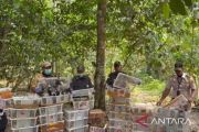 832 burung sitaan petugas gabungan di Bakauheni dilepasliarkan