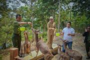 Wagub Lampung minta perkuat tata kelola hutan agar lestari berkelanjutan