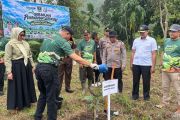 KKI Warsi-Dishut Sumbar percepat rehabilitasi hutan lewat tanam pohon