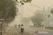 OJK Kalteng: Potensi klaim asuransi jadi salah satu mitigasi risiko kredit terdampak karhutla