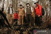 Karhutla TN Sebangau, Menhut kerahkan lima ekskavator dan bangun 30 sumur bor