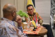 RI menjajaki peluang investasi pengolahan singkong di Mozambik