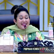 DPR Titiek meminta bawang putih capai swasembada secepatnya tanpa impor