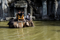 Bali warns conservation centers over elephant riding ban