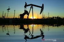 Indonesia identifies 13 new oil and gas wells in E Kalimantan