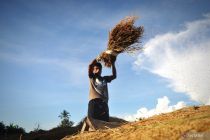 Mengenal Bobibos, bahan bakar dari jerami inovasi anak bangsa