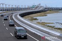 Bee swarms disrupt traffic on Bali's toll road amid seasonal migration