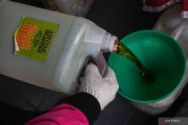 Indonesia to ban palm oil waste exports to drive energy independence