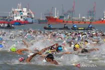 Ratusan perenang adu cepat lintasi selat Madura memperebutkan Piala KSAL 2025
