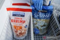 Ministry informs 1,852 containers of Indonesian shrimp enter US market