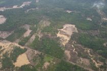 Govt reviews Aceh watershed damage, finds illegal activity