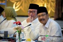 Sumatra flood victims receive daily food aid for 3 months: minister