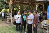Menteri LH janji tuntaskan pencemaran mangrove Tol Bali