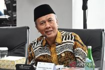 Anggota DPR: Pembentukan PPS tergantung keputusan pemerintah