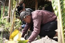 Wabup Sleman menanam beringin putih mengawali "Lampah Dalu Lereng Merapi"
