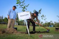 Private investment in Indonesia's new capital reaches US$4.56 billion