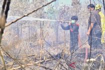 Indonesia urges forest permit holders to scale up fire safeguards
