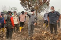 Gubernur Kalbar sebut lahan sengaja dibakar untuk buka pertanian