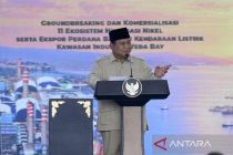 Halmahera dan anak tangga terakhir hilirisasi