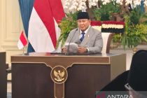 RI-Mesir sepakat perkuat kerja sama berantas penangkapan ikan ilegal