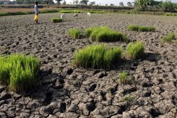 59 desa di Gresik alami kesulitan air bersih