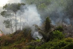 Jumlah titik panas di Kalimantan Timur  berkurang  menjadi enam