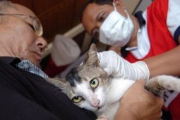VAKSINASI RABIES