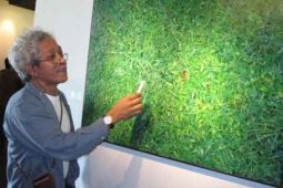 RUMPUT