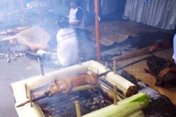 LOMBA BABI GULING
