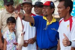 Ikan Sang Juara
