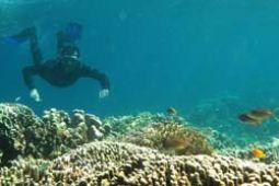 Tim Promosi Wisata "DEMA Show" Ke Orlando