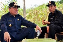 Tinjau Pengembangan Agribisnis