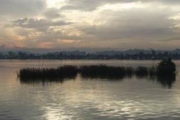 Pendangkalan Mahakam