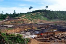 Tambang Rawan Pencemaran