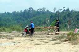 Illegal Logging HLSW