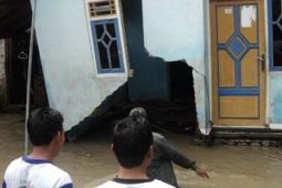 RUMAH AMBROL