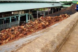 Kaltim Tetapkan TBS
