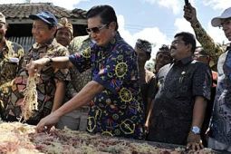 KONSERVASI PERAIRAN NUSA PENIDA
