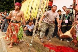 PALAS ALAM