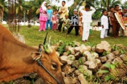 Kemeriahan Lebaran Haji