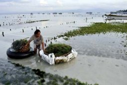 ZONASI KKP NUSA PENIDA
