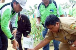 Samarinda Galakkan Penghijauan