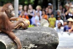 LIBURAN TAHUN BARU 2011