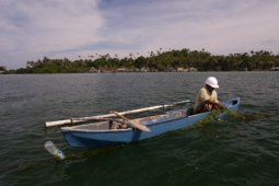 RUMPUT LAUT TELUK TAMIANG