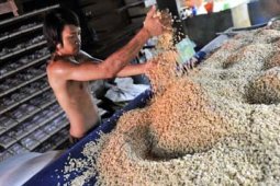 HARGA KEDELAI NAIK