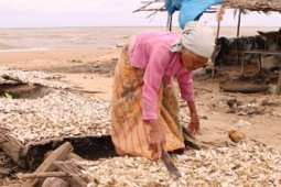 PEROLEHAN IKAN MINIM