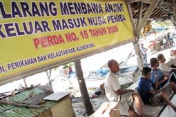 CEGAH RABIES