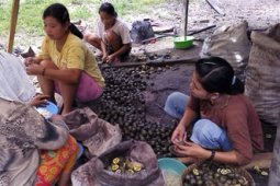 INDUSTRI KOLANG KALING