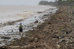 PANTAI PENUH SAMPAH
