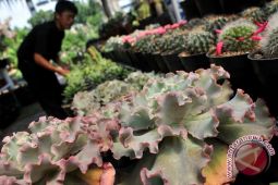 Tomorrow flora fauna expo
